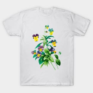 Viola - Botanical Illustration T-Shirt